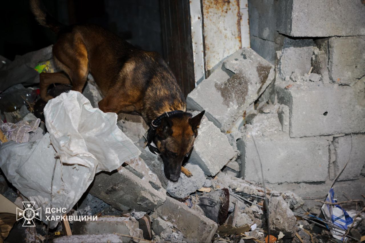 Россияне нанесли ракетный удар по Харькову: кадры последствий — фото 2