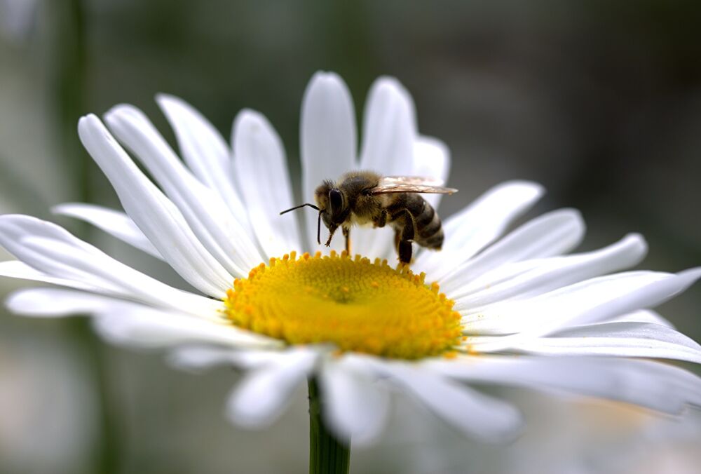 Прогноз на вихідні: де сьогодні пройдуть дощі