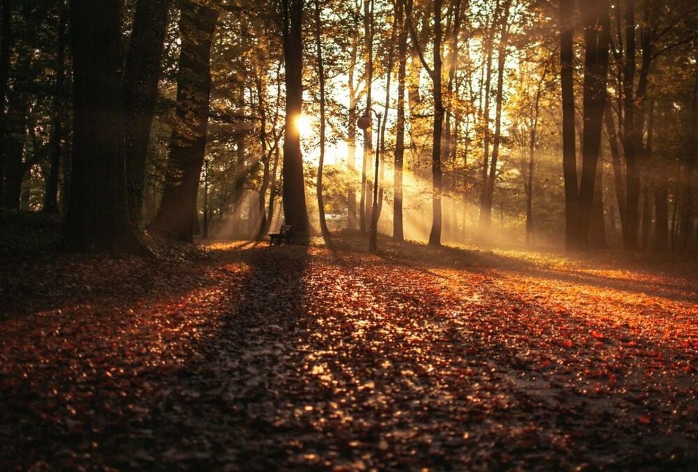 Синоптик розповіла про перше бабине літо в Україні