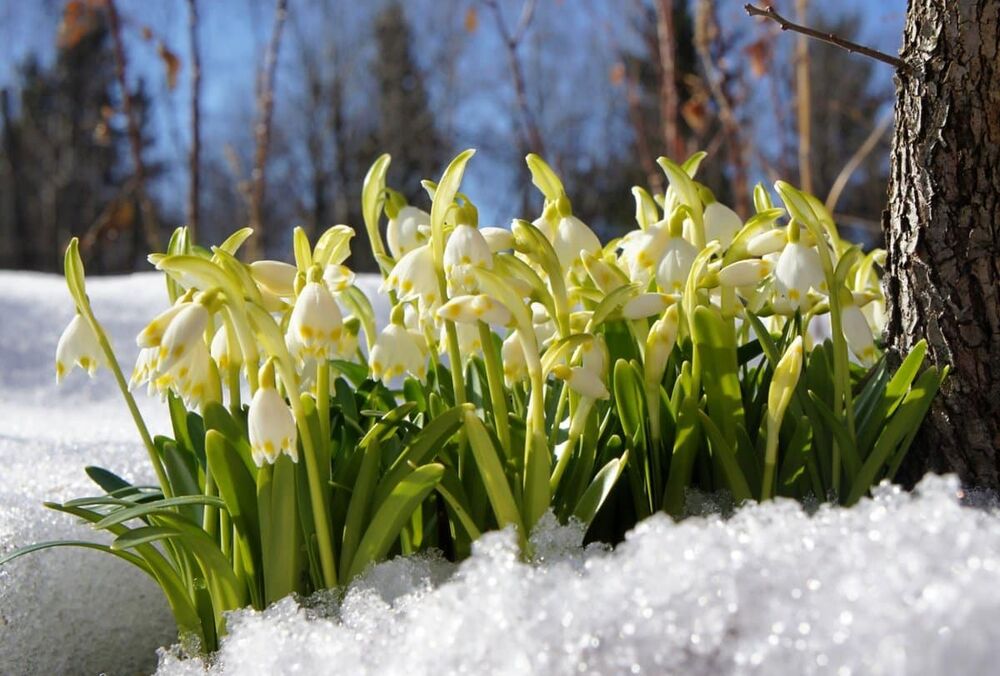 Календар святкових днів у березні 2022 року