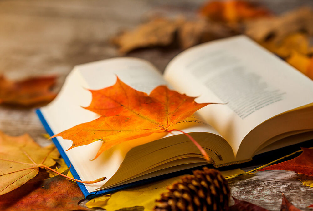 Останні дні тепла: прогноз погоди в Україні