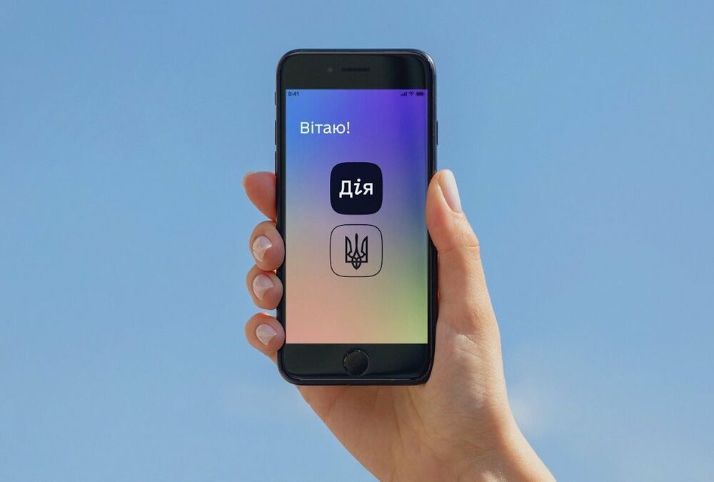 В Дии появились документы об образовании