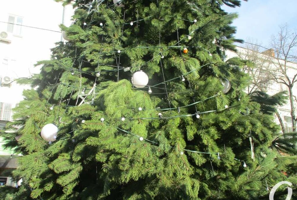 Справа смаку: в Росії вуличну новорічну ялинку ”прикрасили” сміттям, - ВІДЕО