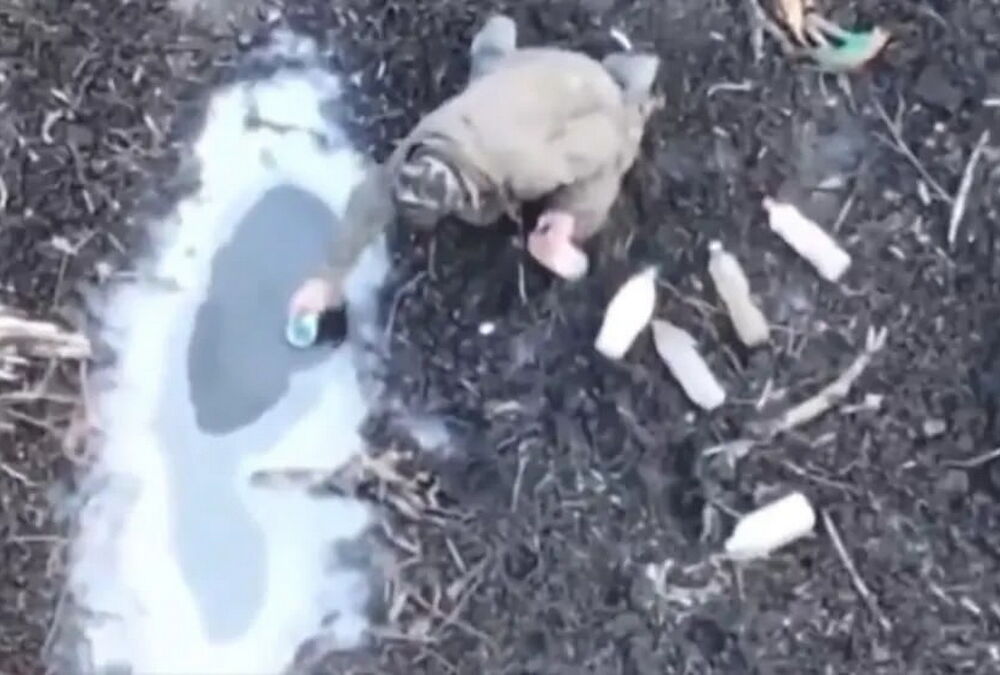 Среди российских оккупантов в Украине свирепствует тиф и холера, - BILD