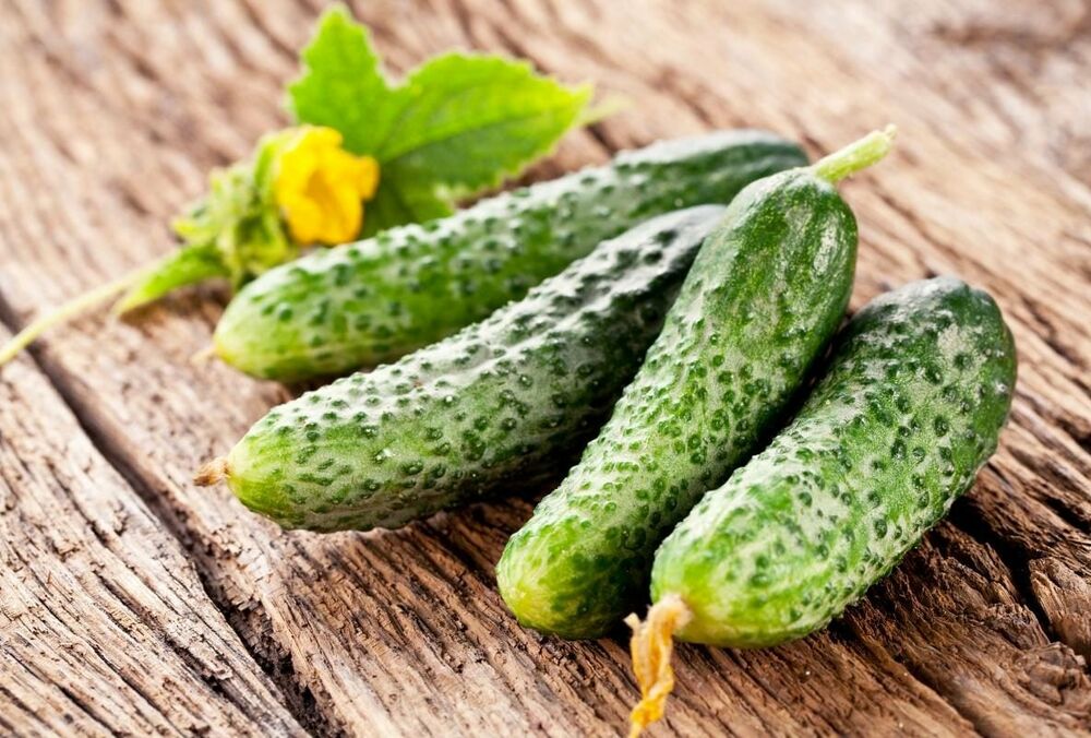 В Украине начали внезапно падать цены на огурцы