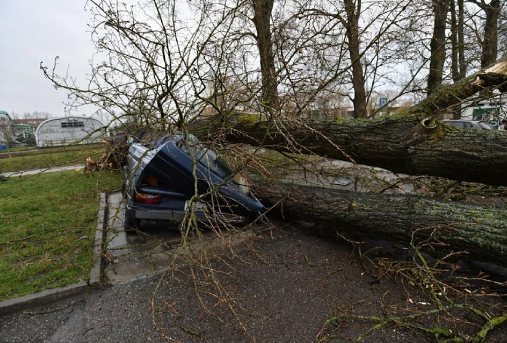 В Польше во время урагана погиб украинец В Польше во время урагана погиб украинец