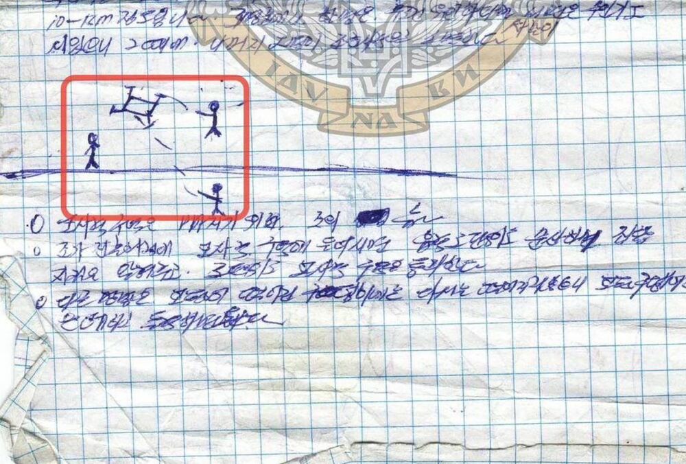 В Курской области солдаты КНДР ловят украинские дроны на живца