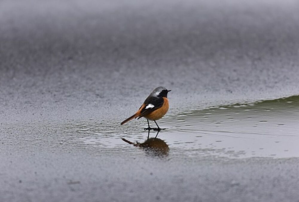Синоптики обіцяють сильні опади: прогноз погоди в Україні