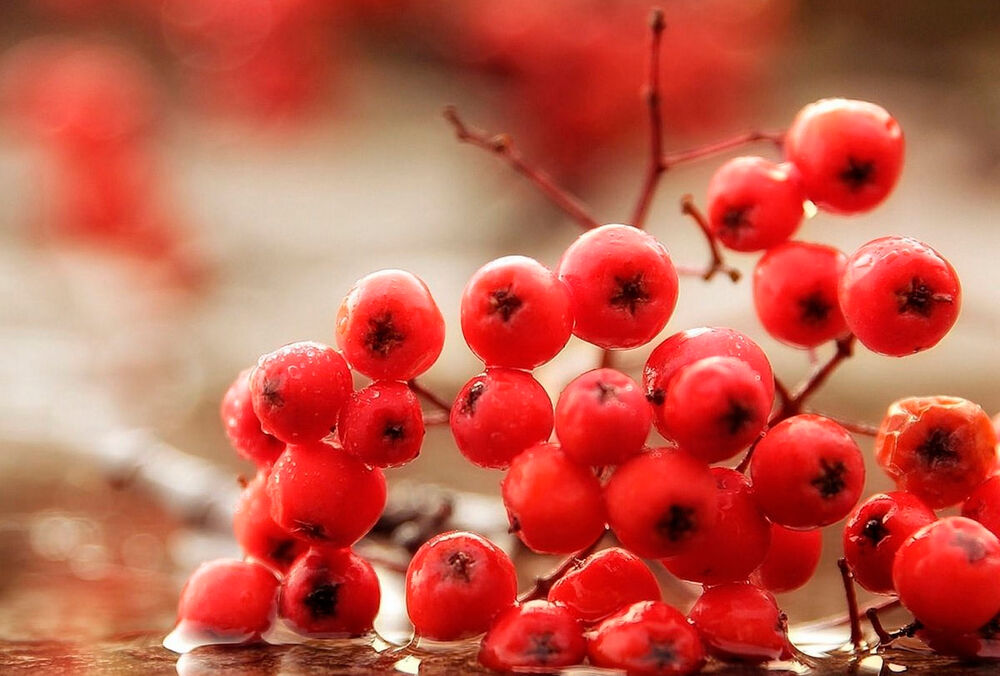 Повертаються холод і дощі: прогноз погоди в Україні