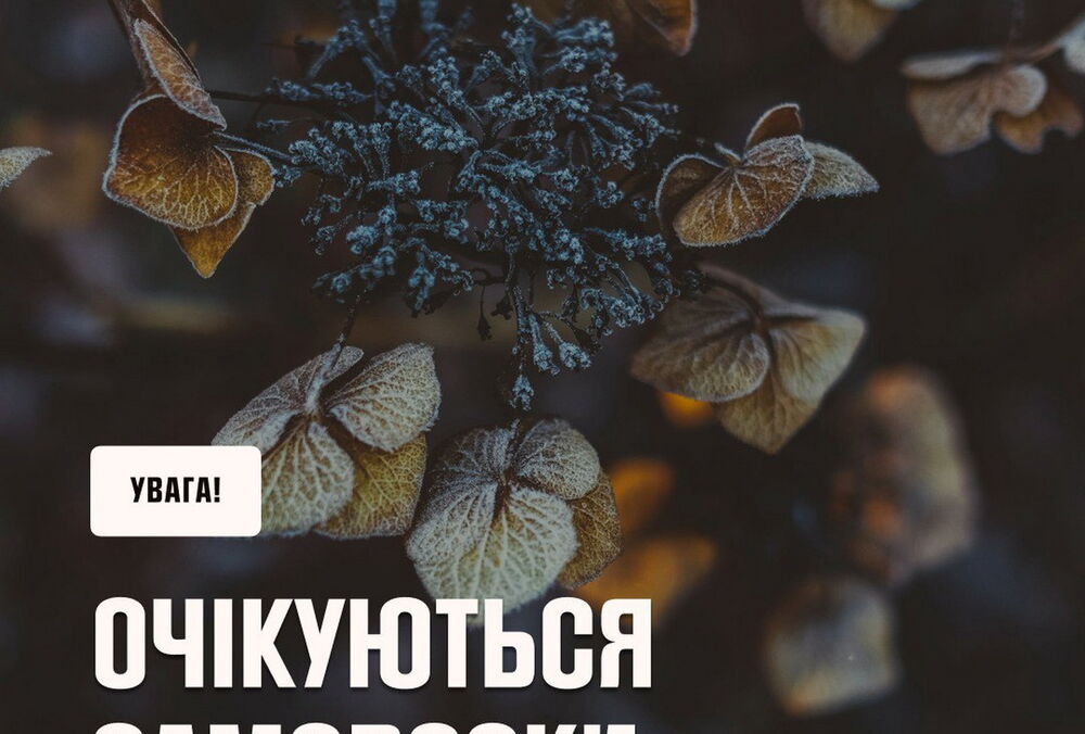 Погода в Украине резко испортится: ожидаются заморозки и сильный ветер