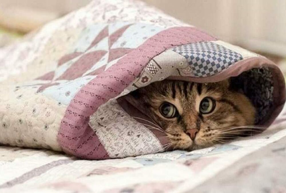 Погода в Украине: синоптики обещают прохладный, но солнечный день