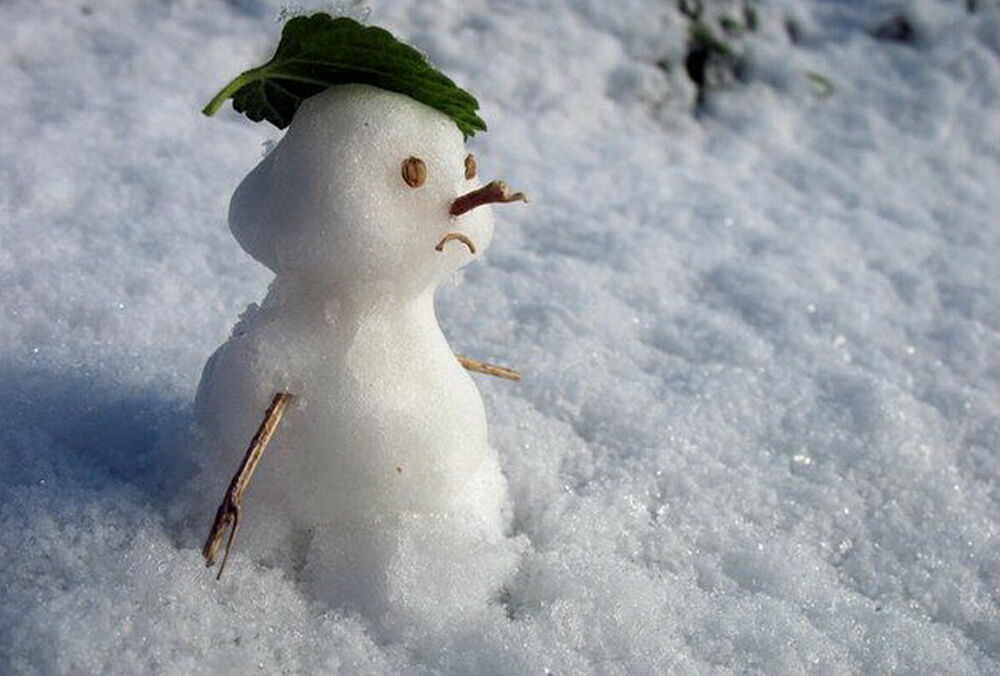 Прогноз синоптиків: в Україну повертаються снігопади