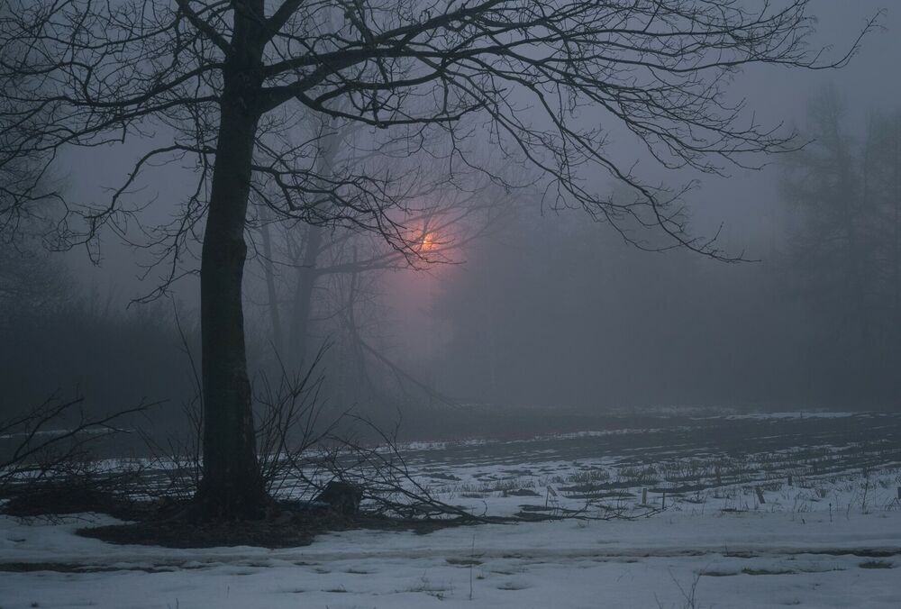 Туманный прогноз: какой будет погода в Украине сегодня