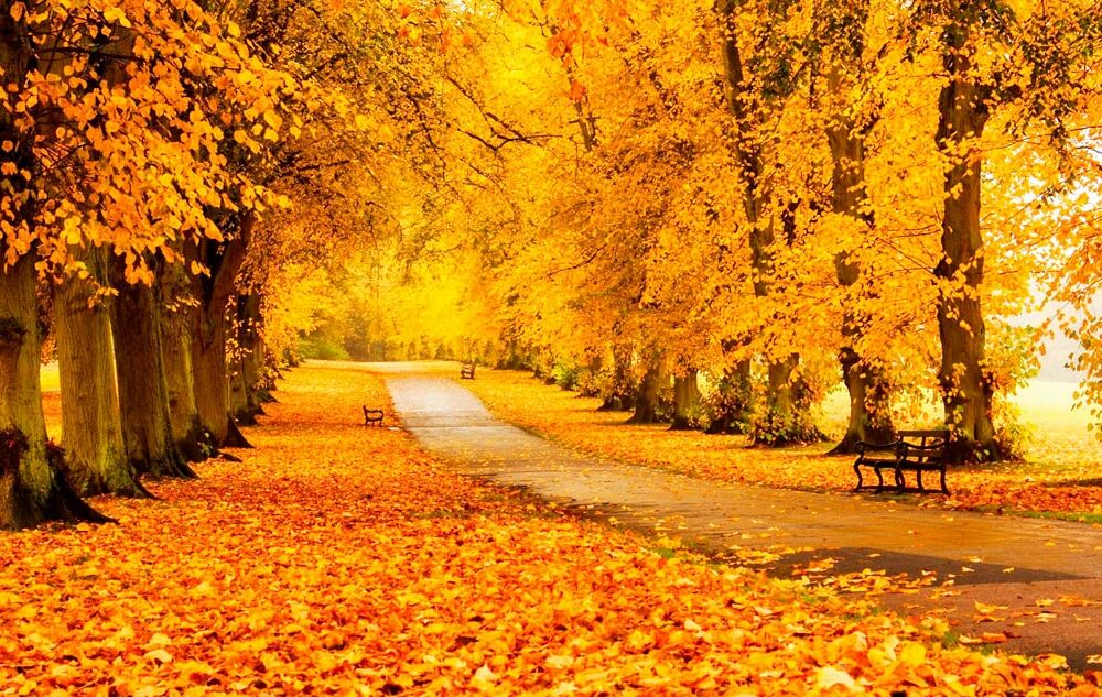 1 вересня в Україну увірветься похолодання