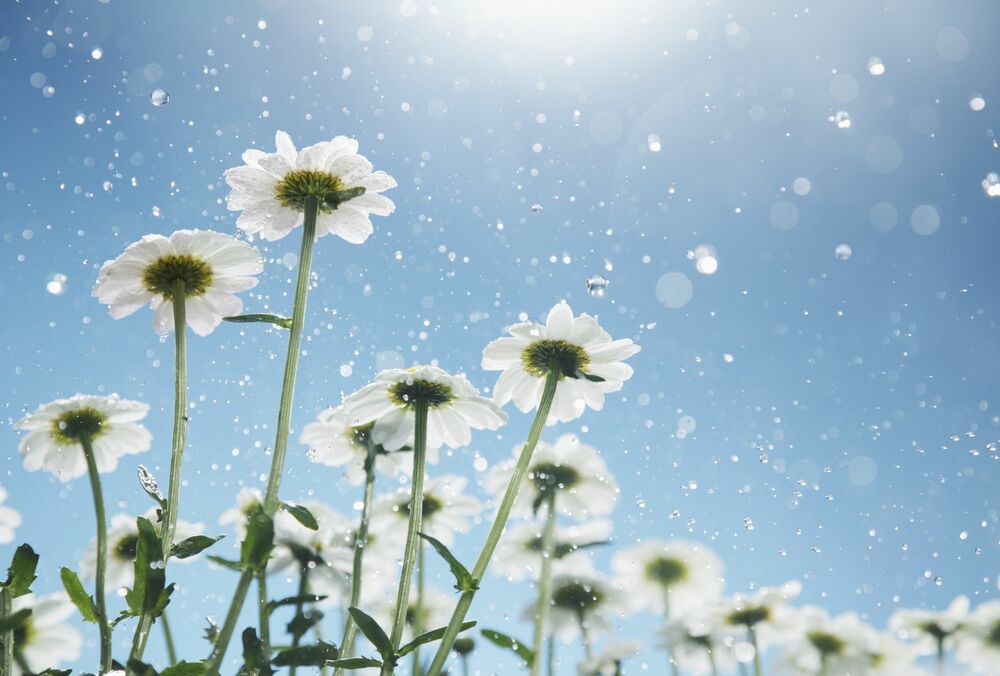 Прогноз погоды: где ожидаются сильные грозы