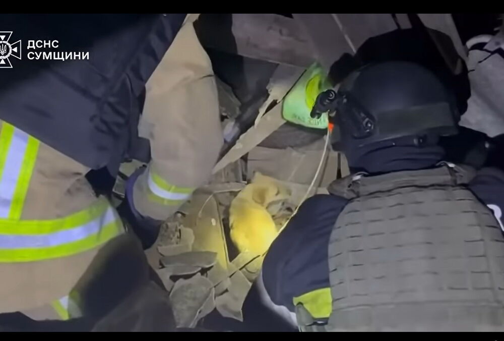 В Сумской области из-под завалов после российского обстрела спасли собаку (фото, видео)