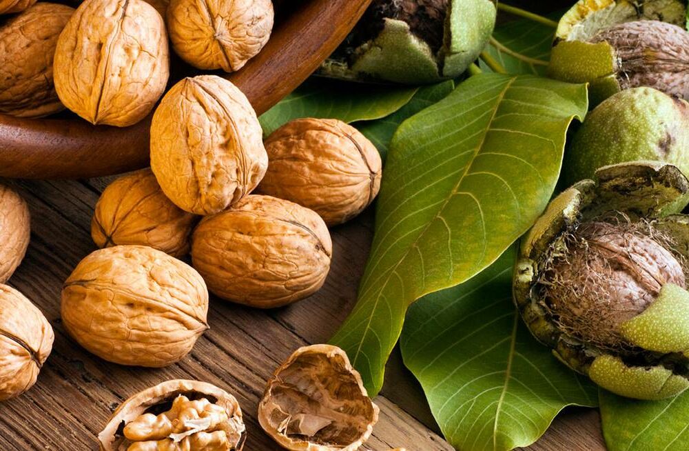 Міцний горішок: цікаві факти про волоські горіхи