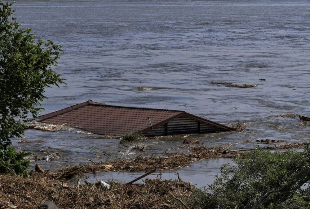 Вода продолжит прибывать в Херсон, жители пытаются спасти животных: душераздирающие кадры Вода продолжит прибывать в Херсон, жители пытаются спасти животных: душераздирающие кадры