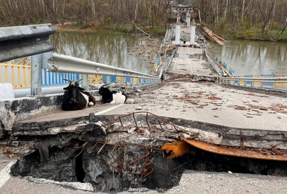 ISW: оккупанты начали усиливать свои позиции в Запорожской области и на Донбассе