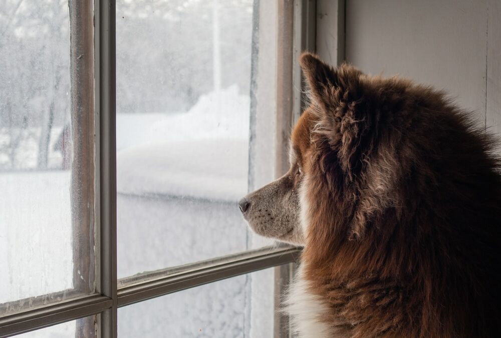 Прогноз погоди: новий тиждень в Україні розпочнеться з опадів