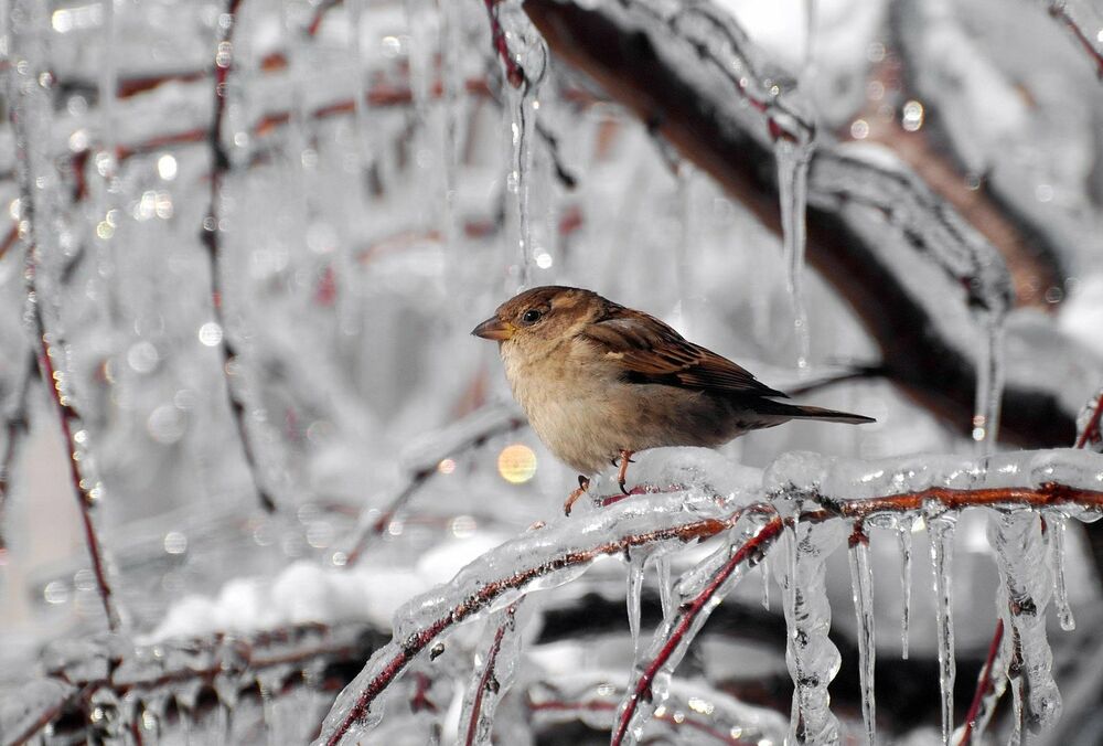 Погода на Водохреще: в Україні стає тепліше