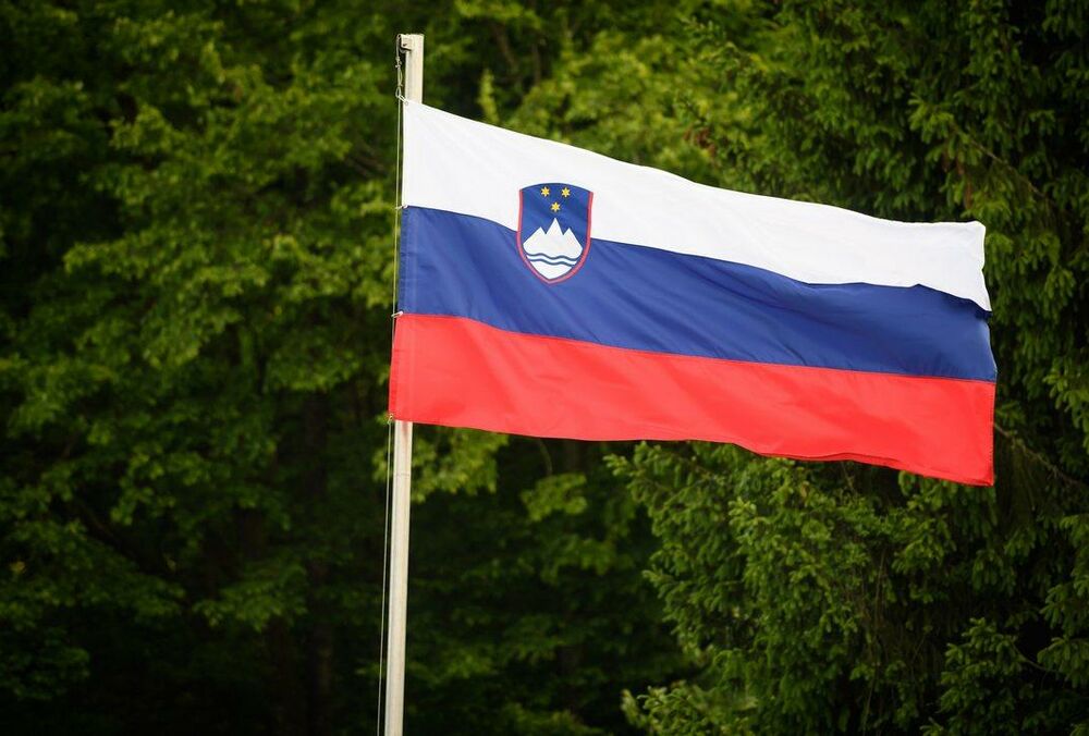 Словенія приєдналася до спільної закупівлі боєприпасів для України