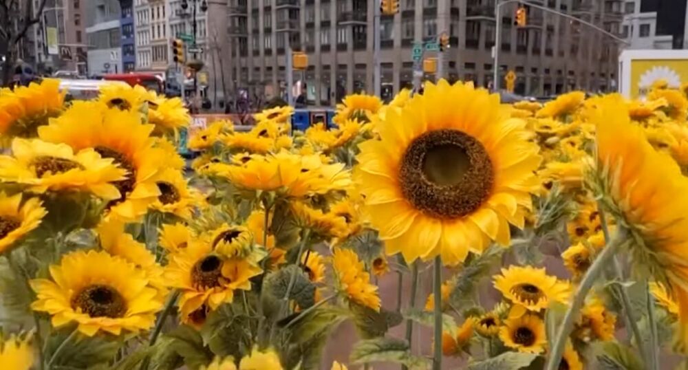 На одной из площадей Нью-Йорка установили инсталляцию в поддержку Украины : ВИДЕО На одной из площадей Нью-Йорка установили инсталляцию в поддержку Украины : ВИДЕО