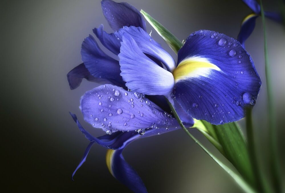 Прогноз погоди: в Україні посилюються дощі