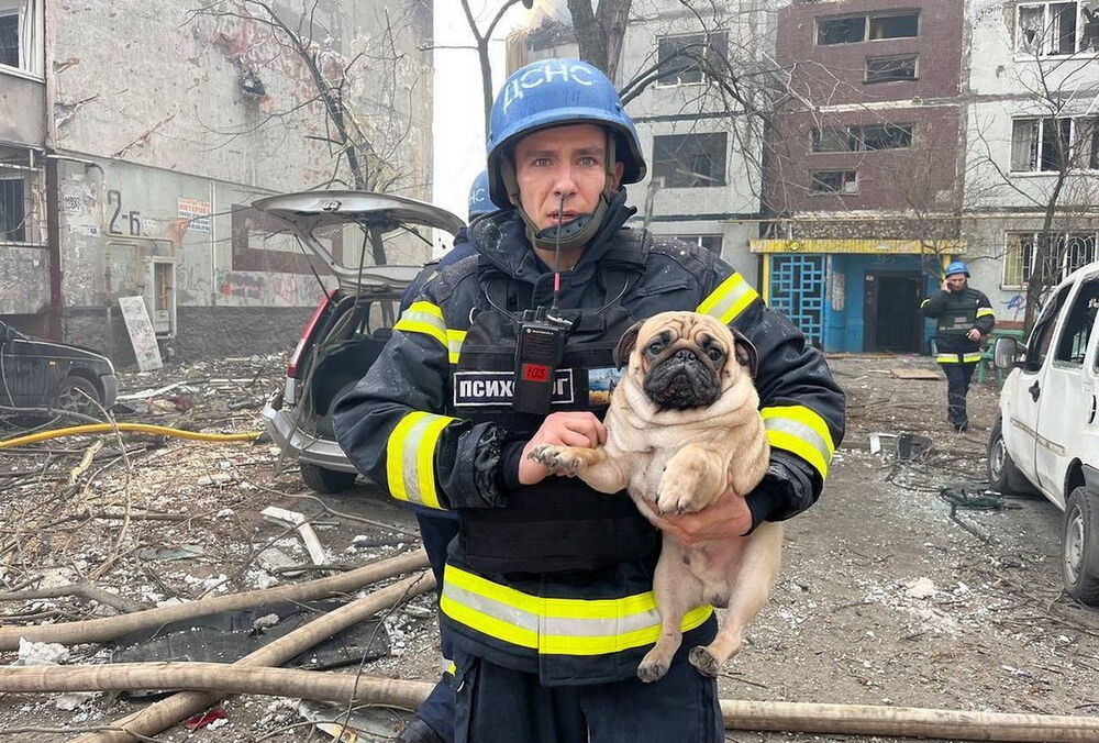 Оккупанты могли обстрелять Запорожье из РСЗО ”Торнадо”: новые детали удара