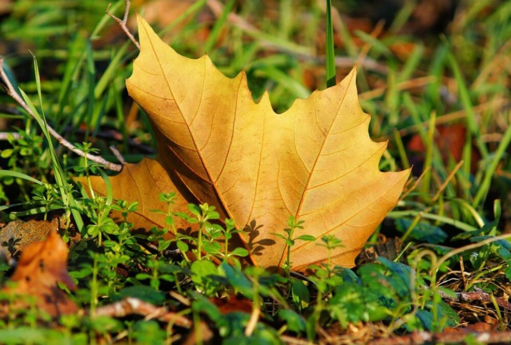 Погода в Украине: где сегодня потеплеет Погода в Украине: где сегодня потеплеет