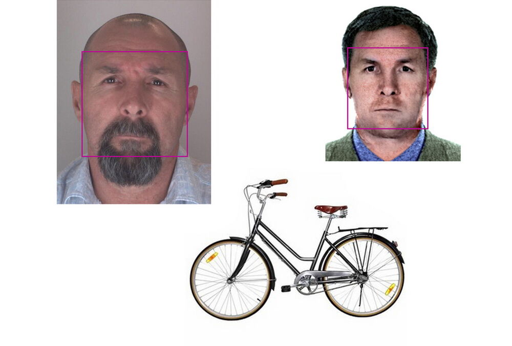 В Германии прокомментировали выдачу России киллера Красикова