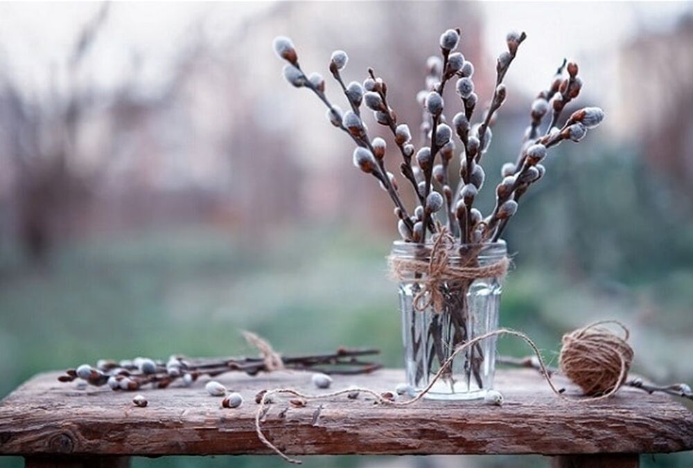 Прогноз погоды в Украине: температура постепенно поднимается