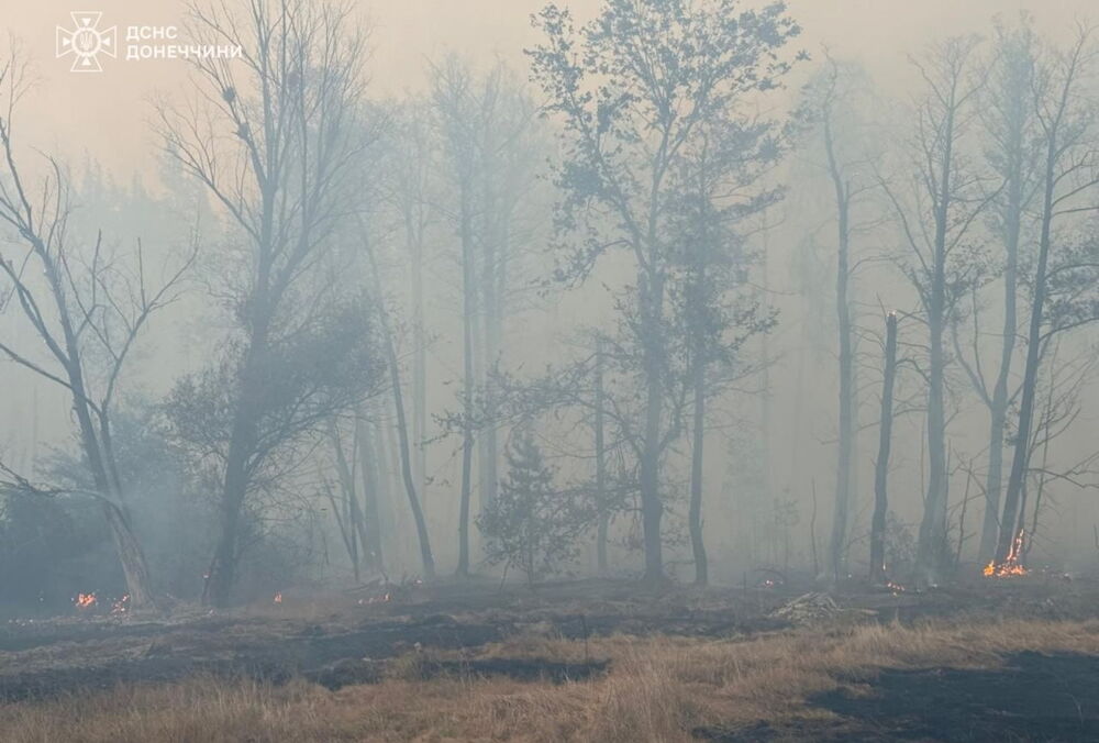 В Харьковской области разбушевался сильный лесной пожар: эвакуированы сотни людей