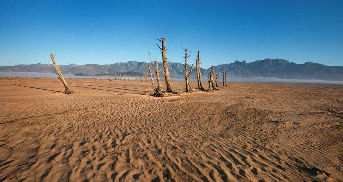 ООН включила 2020-й год в тройку самых жарких