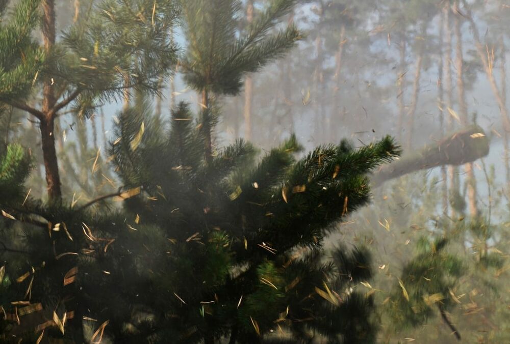 В разведке анонсируют ”значимые победы” до конца года