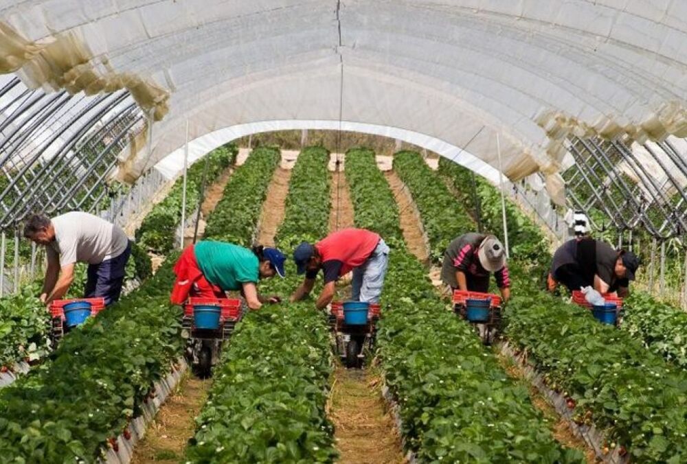 У Польщі зростає попит на українських заробітчан