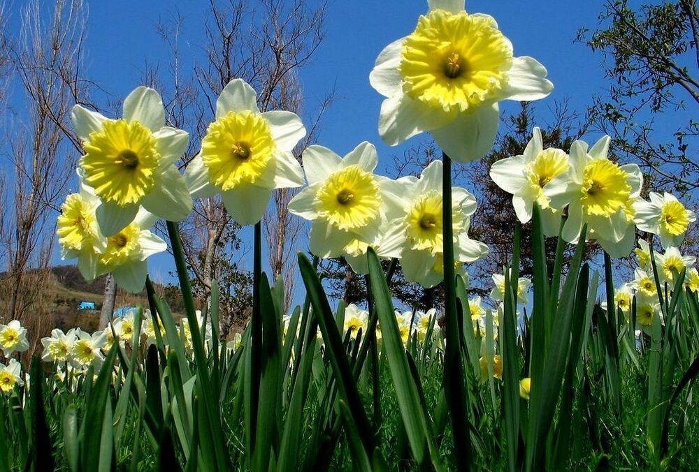 Прогноз погоди: чим порадує останній день квітня