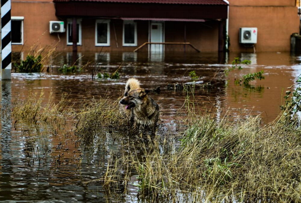У Херсоні заборонили відвідувати мікрорайон Корабел і не тільки: повний перелік заборон