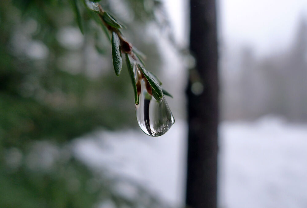 Дождевой выходной: прогноз погоды на пятницу Дождевой выходной: прогноз погоды на пятницу