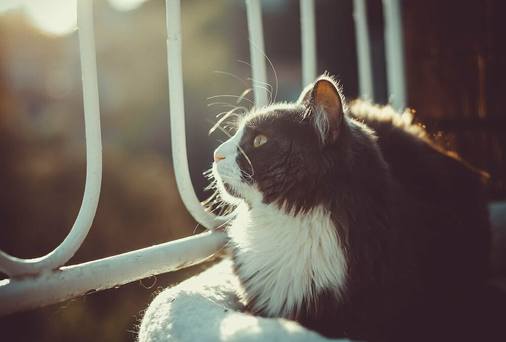 Синоптик сообщила, когда в Украину придет потепление