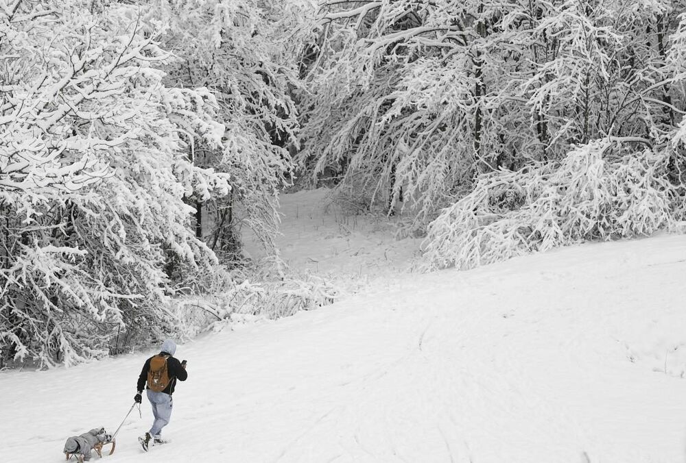Прогноз погоди: де синоптики обіцяють снігопади