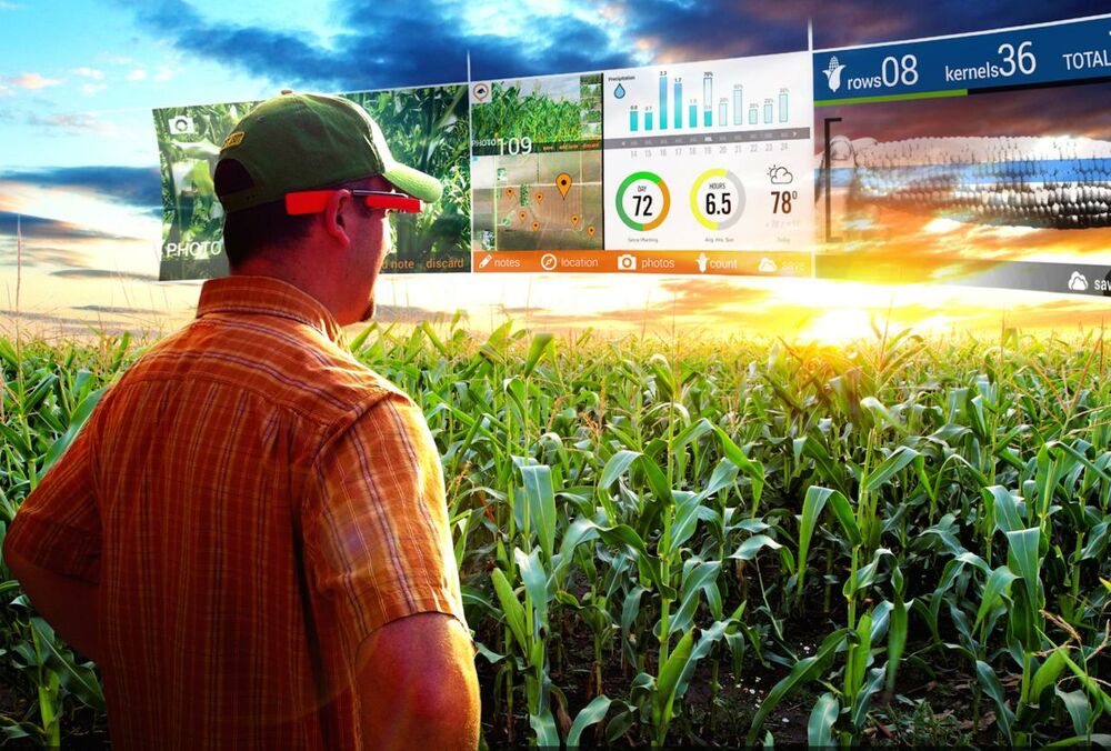 Як збільшити інвестиції в агросектор України: 5 дієвих кроків