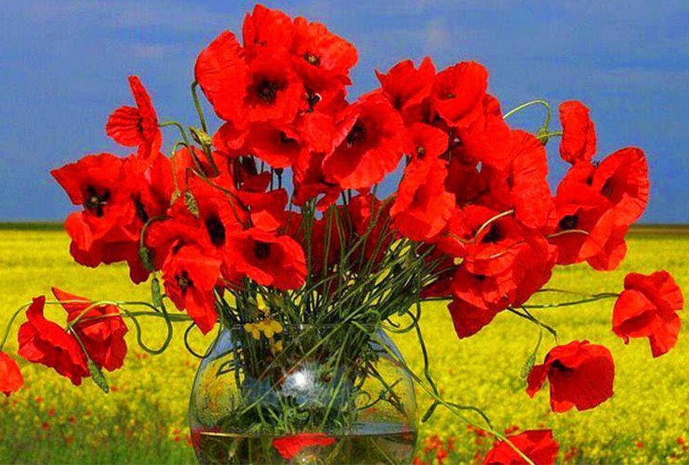 8 та 9 травня ми відзначатимемо День пам'яті та примирення та День перемоги над нацизмом у Другій світовій війні