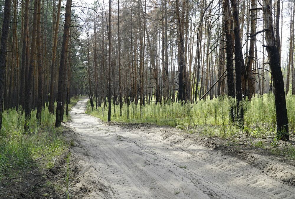 Пограничники успешно атаковали позиции окупантов в Серебрянском лесу