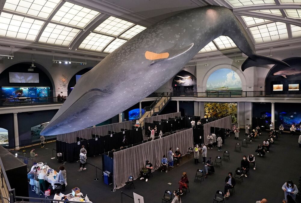 Жителям Нью-Йорка платитимуть по 100 доларів за бустерну дозу