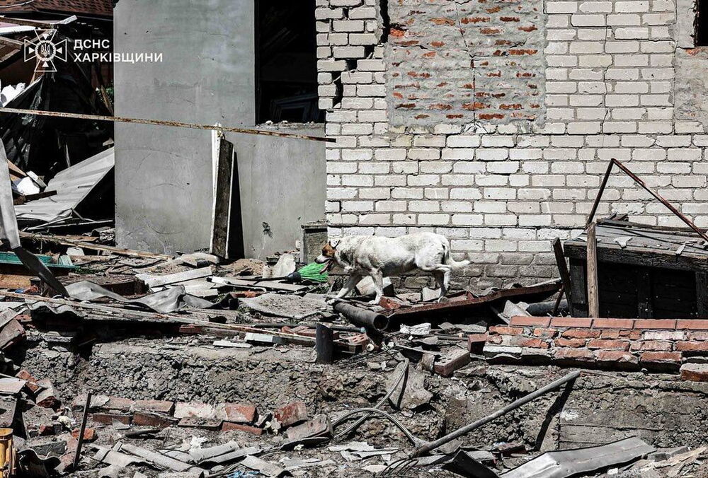 В Харьковской области растет число пострадавших при обстреле пригорода