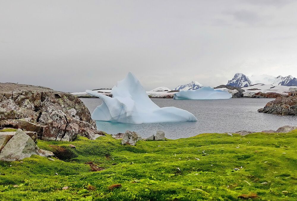 В Антарктике зафиксирована самая высокая температура за все годы наблюдений