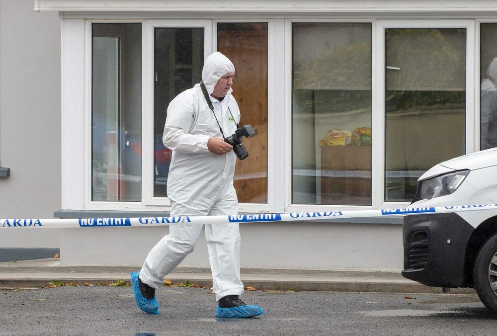 В Ирландии напали на маленькую украинку, у ребенка 74 ножевых ранения