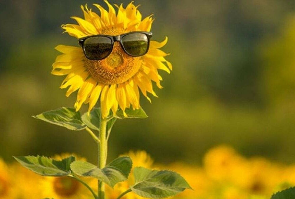 Прогноз погоди в Україні: коли вщухнуть грози