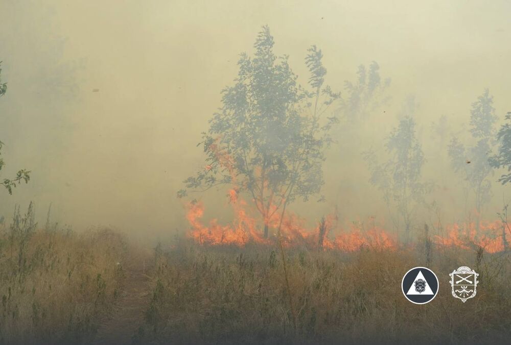 На острове Хортица вспыхнул масштабный пожар На острове Хортица вспыхнул масштабный пожар